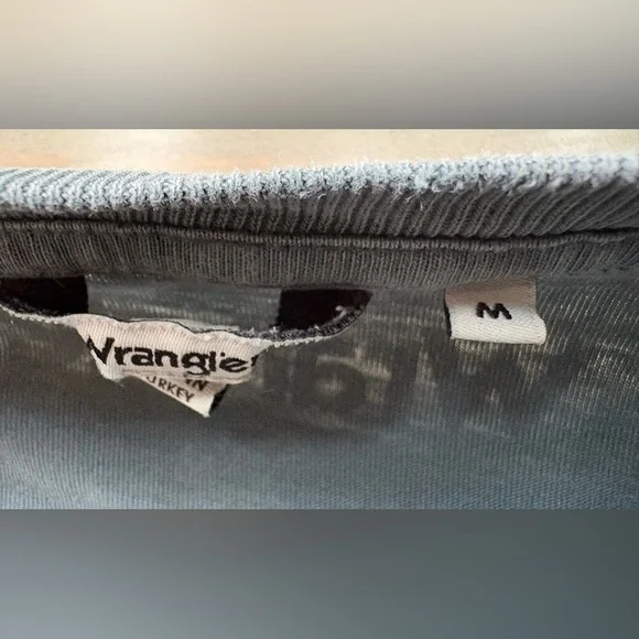 Free People Wrangler Oversized Tiger Tee🔥 - Picture 8 of 16